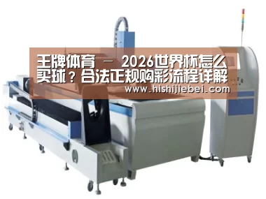 产品名称十一