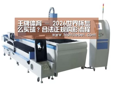 产品名称十三