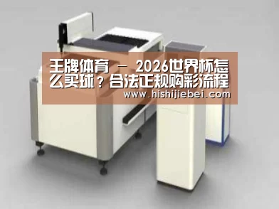 产品名称十五