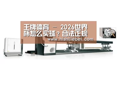 案例展示五