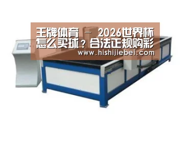 产品名称七