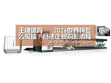 视频展示一