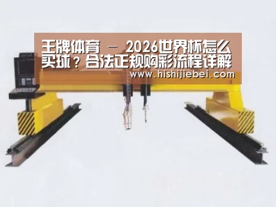 产品名称十九