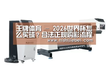 视频展示二