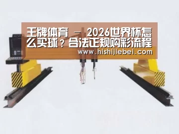 产品名称十九