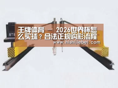 产品名称十七