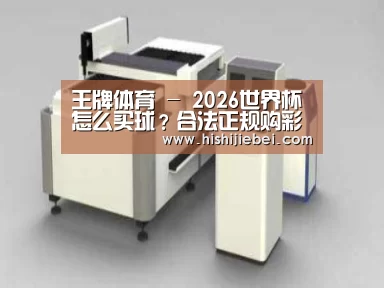 产品名称十五