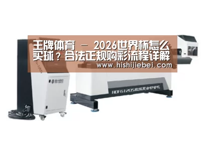 案例展示四