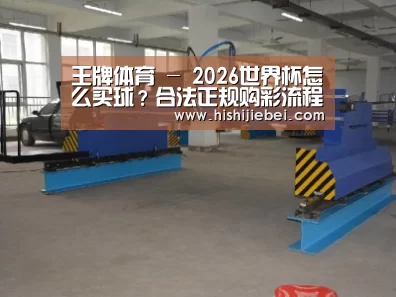产品名称十九