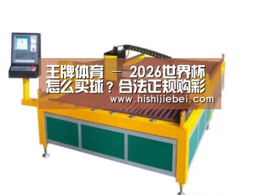 产品名称十九