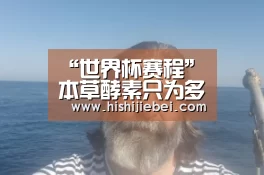 世界杯竞猜平台