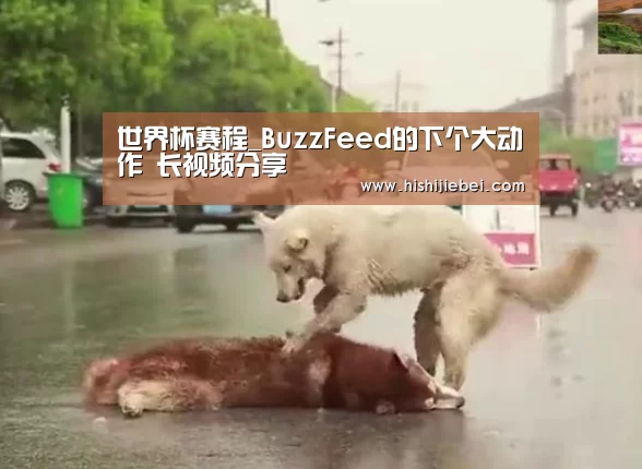世界杯赛程_BuzzFeed的下个大动作 长视频分享(图2) 世界杯买球官网