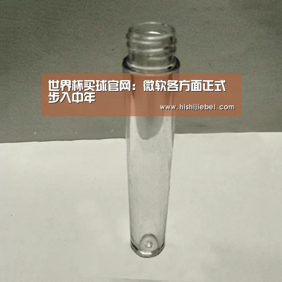 世界杯买球官网:微软各方面正式步入中年(图2) 世界杯买球官网
