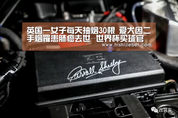 世界杯竞猜平台