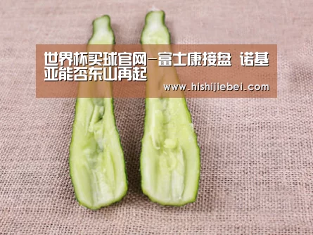 世界杯买球官网-富士康接盘 诺基亚能否东山再起(图2) 世界杯赛程