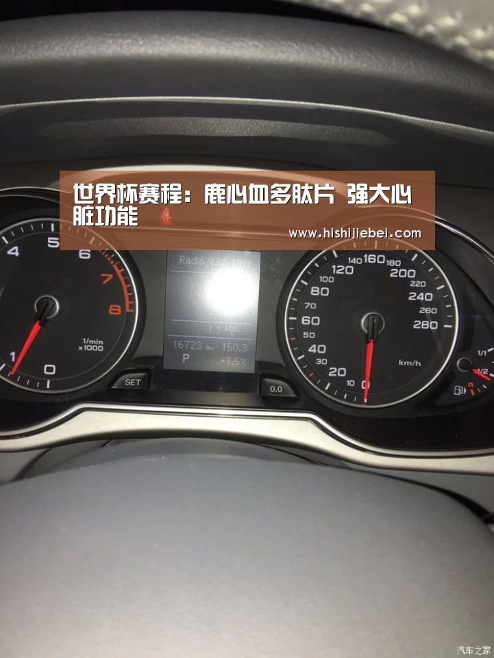 世界杯买球
