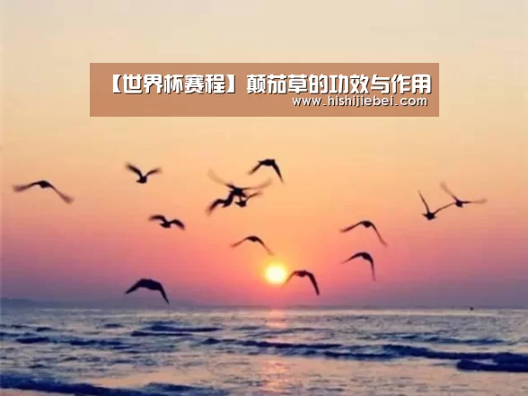 【世界杯赛程】颠茄草的功效与作用(图3) 世界杯竞猜平台