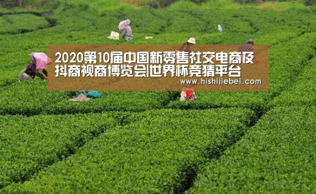 2020第10届中国新零售社交电商及抖商视商博览会|世界杯竞猜平台(图2) 世界杯竞猜平台